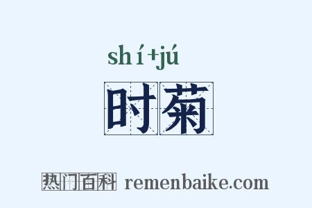 时菊是什么意思的图片